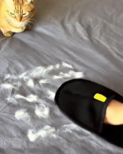 Verlix™ -  Gant Anti-Poils Réutilisable & Écologique