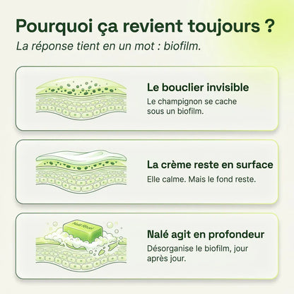 Verlix｜Savon Purifiant Antifongique
