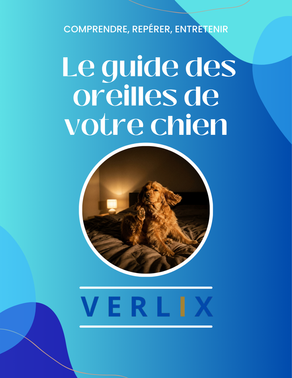 Le guide des oreilles de votre chien