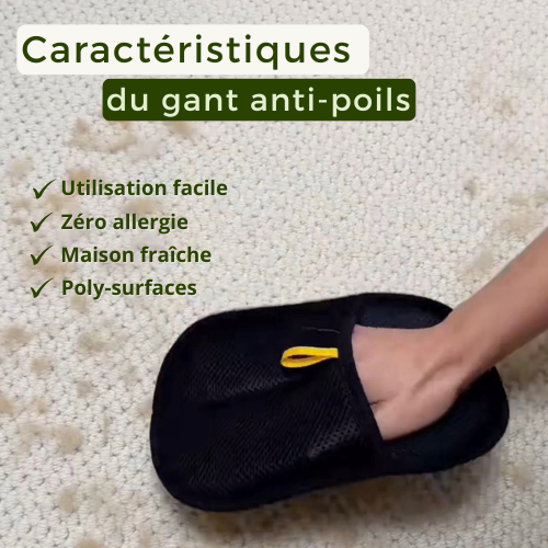 Verlix™ -  Gant Anti-Poils Réutilisable & Écologique