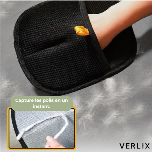 Verlix™ -  Gant Anti-Poils Réutilisable & Écologique