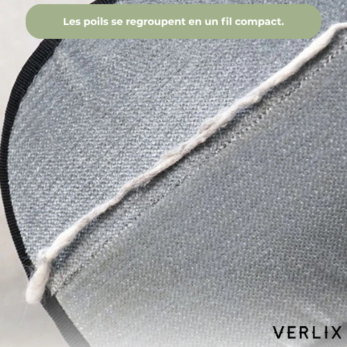 Verlix™ -  Gant Anti-Poils Réutilisable & Écologique