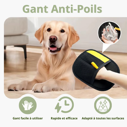 Verlix™ -  Gant Anti-Poils Réutilisable & Écologique