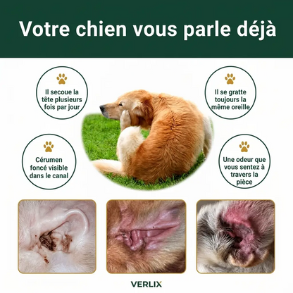 Nettoyant Oreilles pour Chiens & Chats