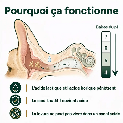 Nettoyant Oreilles pour Chiens & Chats