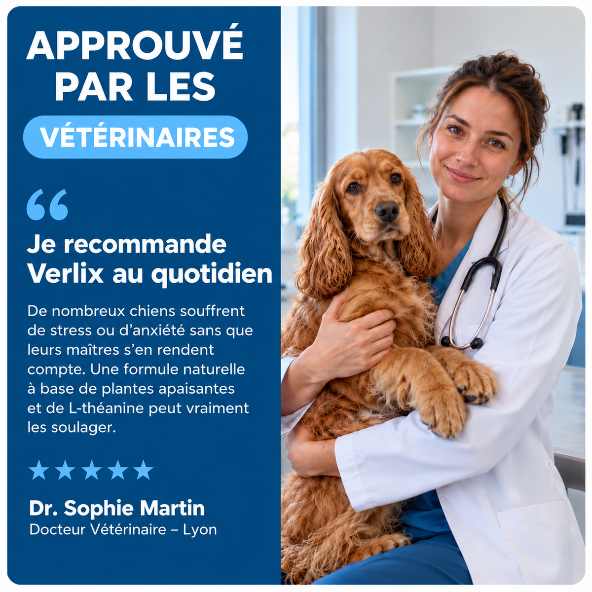 Lotion Auriculaire Chiens & Chats
