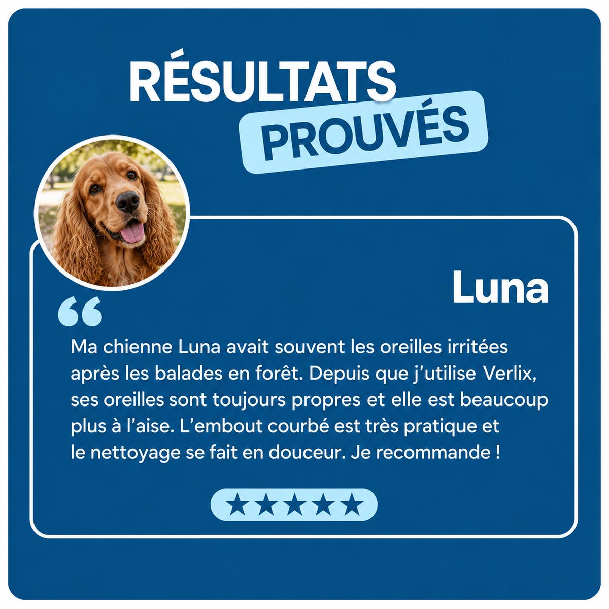 Lotion Auriculaire Chiens & Chats